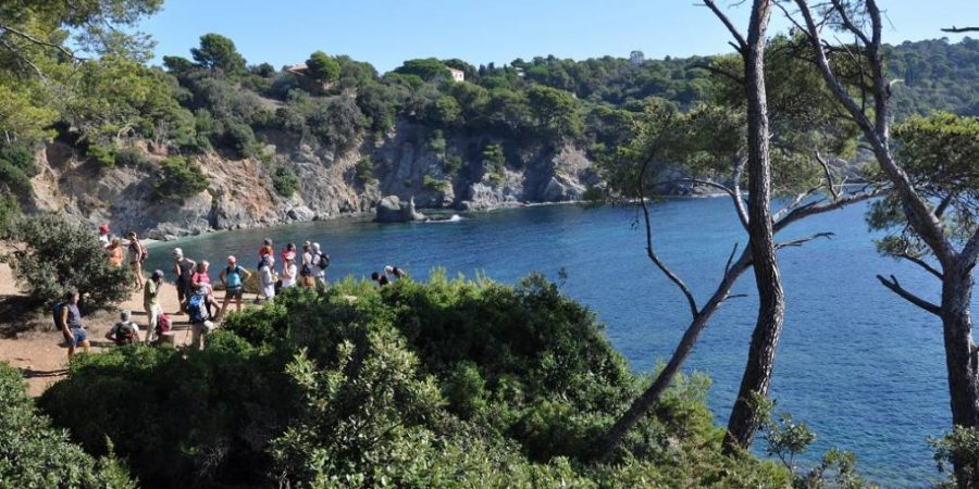 Quelles Randonnées Faire à Proximité De Hyères Feuxiinfo